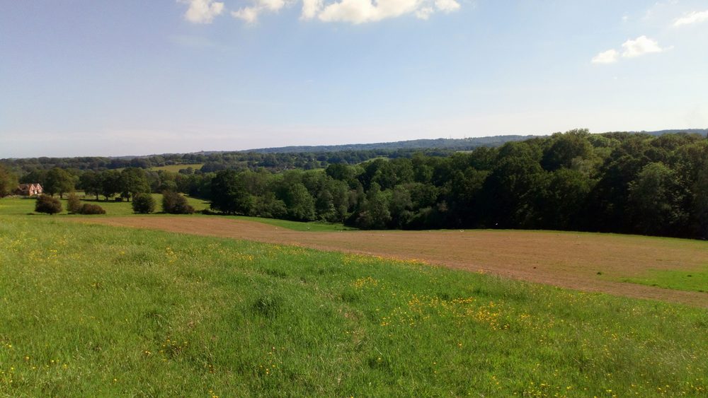 Countryside view near Sedlescombe, part of the High Weald National Landscape